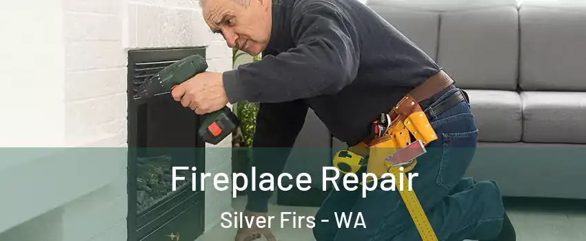  Fireplace Repair Silver Firs - WA