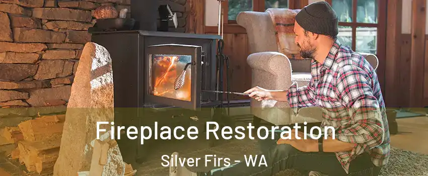  Fireplace Restoration Silver Firs - WA