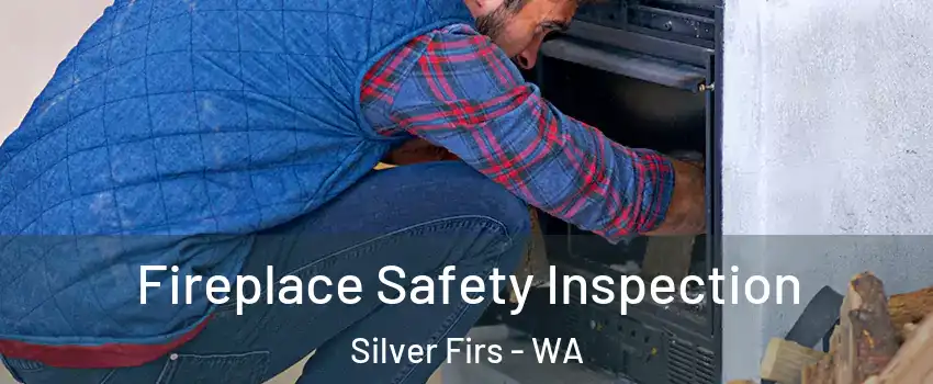  Fireplace Safety Inspection Silver Firs - WA