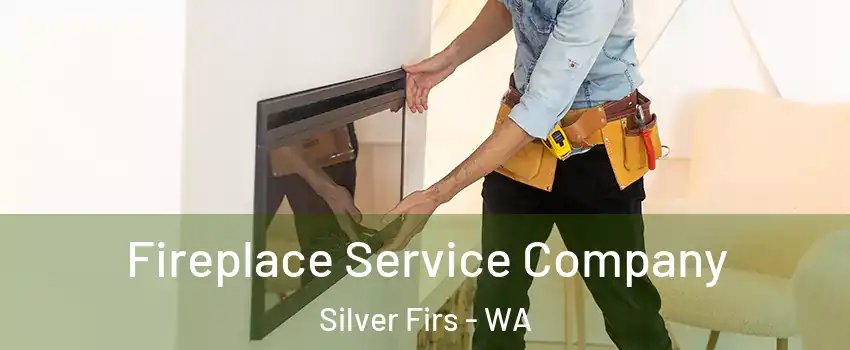 Fireplace Service Company Silver Firs - WA