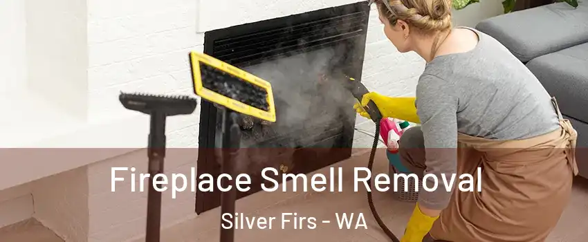  Fireplace Smell Removal Silver Firs - WA