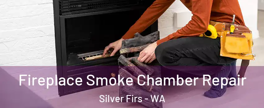  Fireplace Smoke Chamber Repair Silver Firs - WA