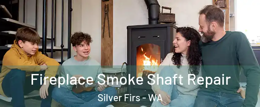  Fireplace Smoke Shaft Repair Silver Firs - WA
