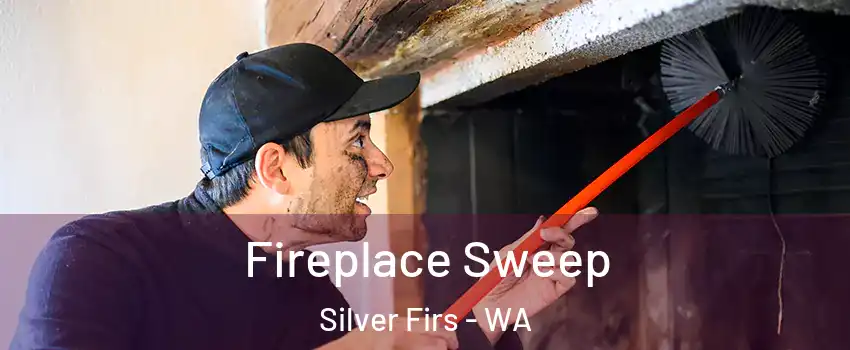  Fireplace Sweep Silver Firs - WA