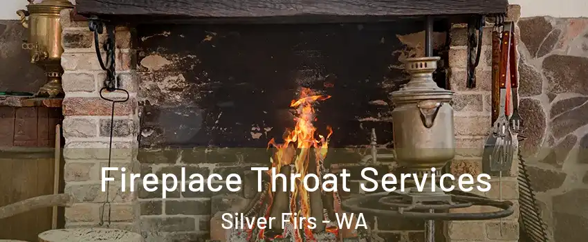  Fireplace Throat Services Silver Firs - WA
