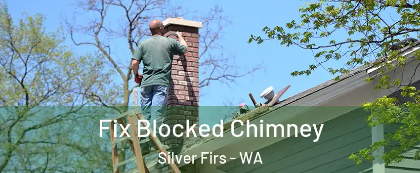 Fix Blocked Chimney Silver Firs - WA