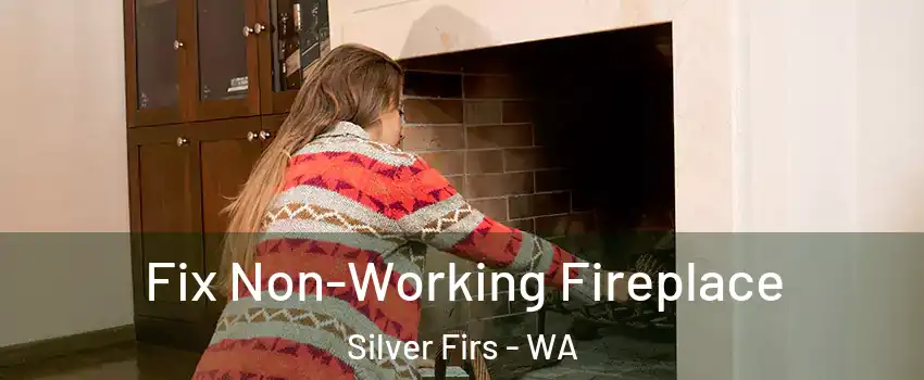  Fix Non-Working Fireplace Silver Firs - WA