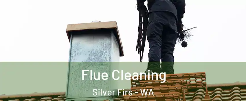  Flue Cleaning Silver Firs - WA