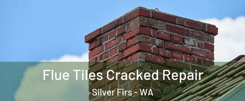  Flue Tiles Cracked Repair Silver Firs - WA