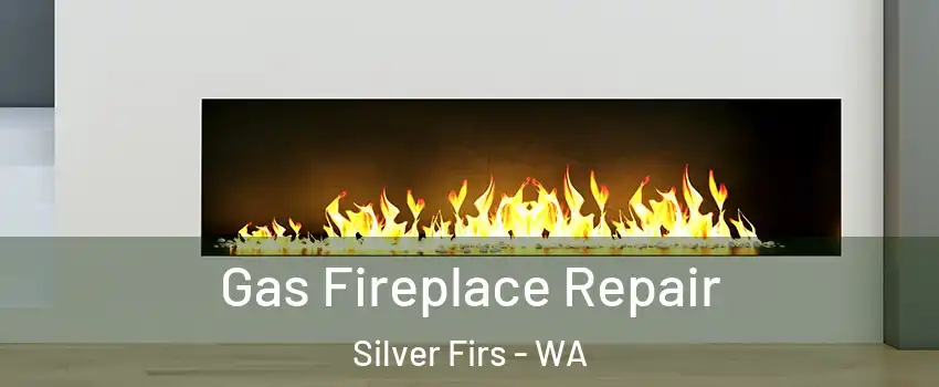  Gas Fireplace Repair Silver Firs - WA