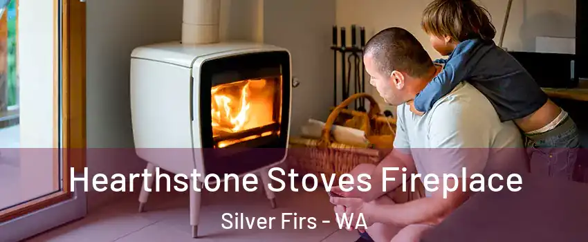 Hearthstone Stoves Fireplace Silver Firs - WA