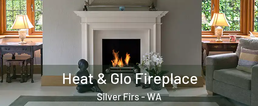  Heat & Glo Fireplace Silver Firs - WA
