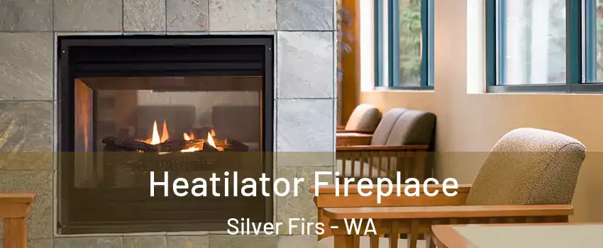  Heatilator Fireplace Silver Firs - WA