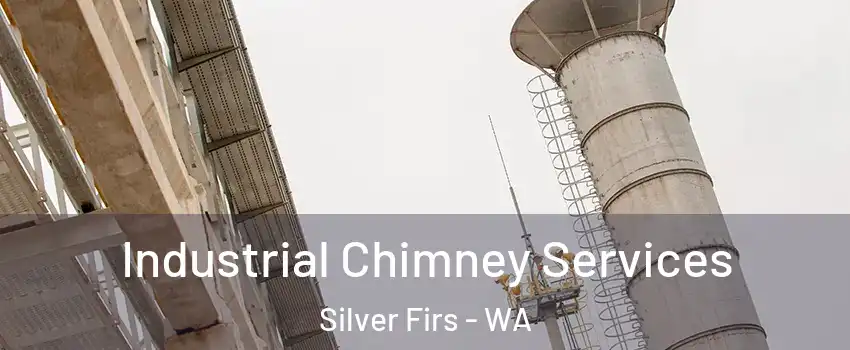 Industrial Chimney Services Silver Firs - WA