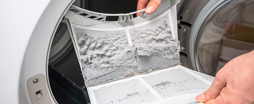 Best Dryer Lint Removal Company in Silver Firs, Washington