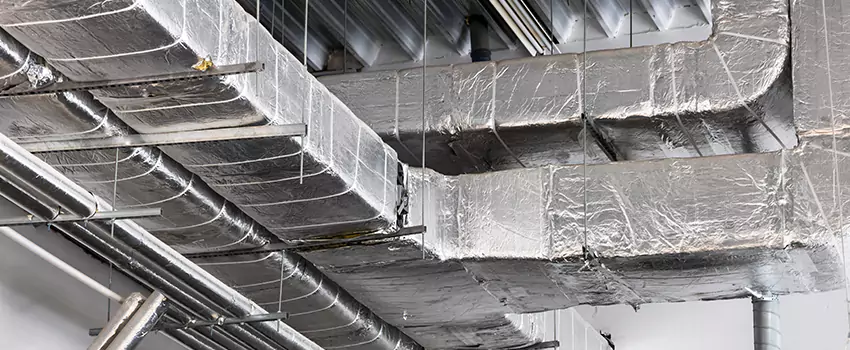 Vent Dust Cleaning Cost in Silver Firs, WA