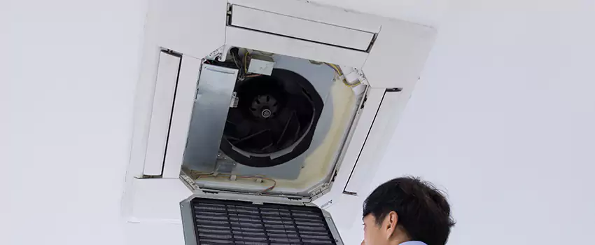 Benefits of Professional Air Duct Cleaning in Silver Firs, Washington