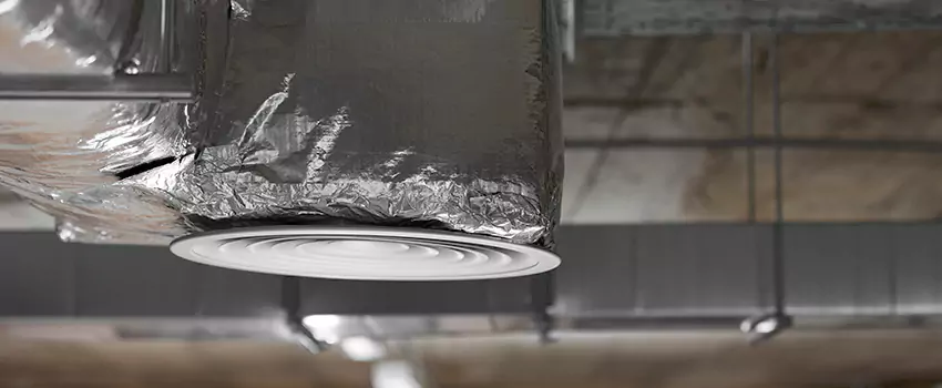 Signs of Dust Accumulation in Vents in Silver Firs, WA