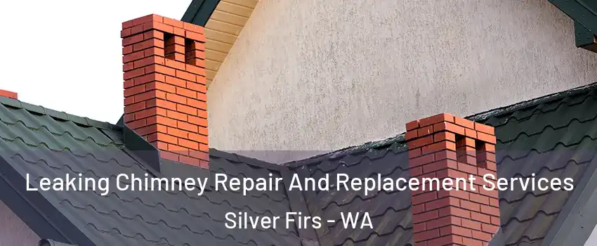  Leaking Chimney Repair And Replacement Services Silver Firs - WA