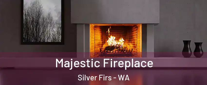  Majestic Fireplace Silver Firs - WA