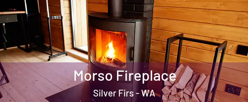  Morso Fireplace Silver Firs - WA