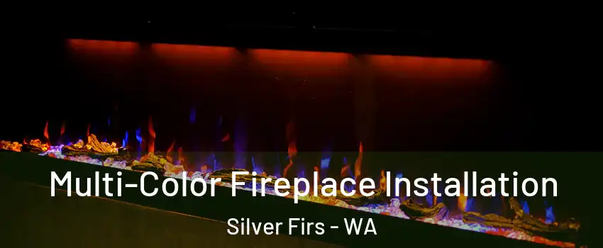  Multi-Color Fireplace Installation Silver Firs - WA