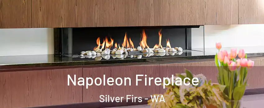  Napoleon Fireplace Silver Firs - WA