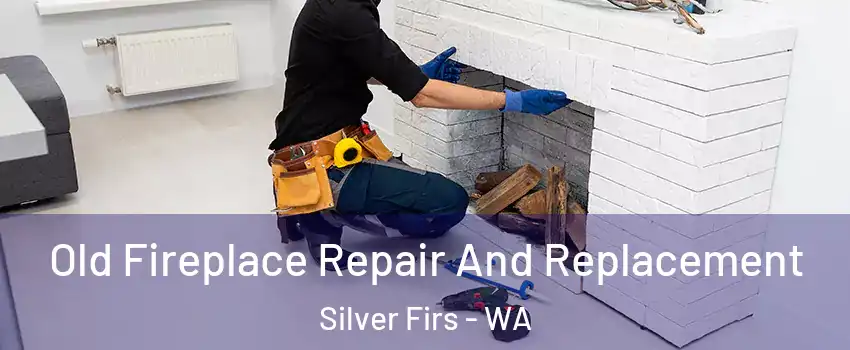  Old Fireplace Repair And Replacement Silver Firs - WA
