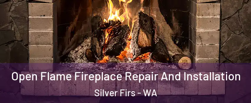  Open Flame Fireplace Repair And Installation Silver Firs - WA