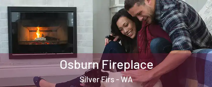  Osburn Fireplace Silver Firs - WA
