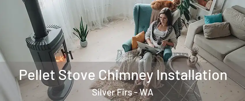  Pellet Stove Chimney Installation Silver Firs - WA