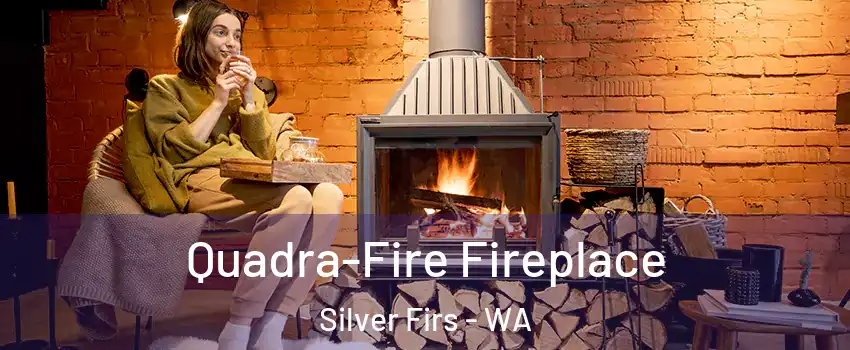  Quadra-Fire Fireplace Silver Firs - WA