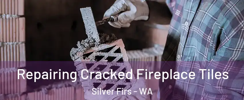 Repairing Cracked Fireplace Tiles Silver Firs - WA