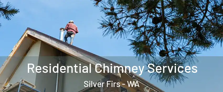  Residential Chimney Services Silver Firs - WA