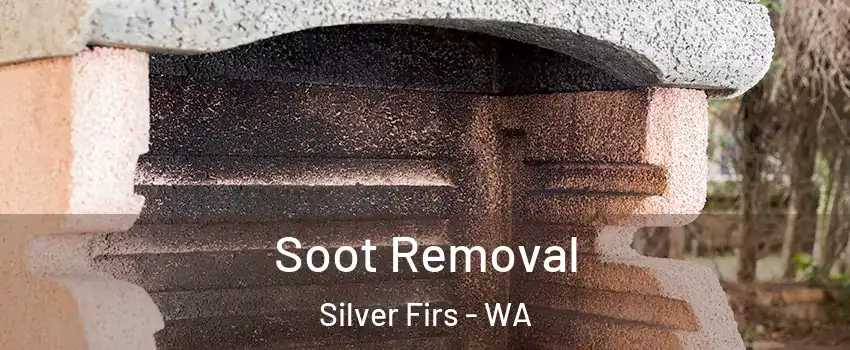  Soot Removal Silver Firs - WA