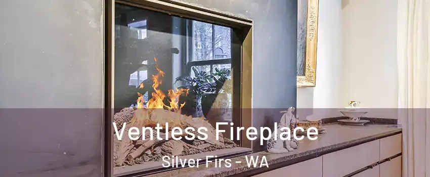  Ventless Fireplace Silver Firs - WA