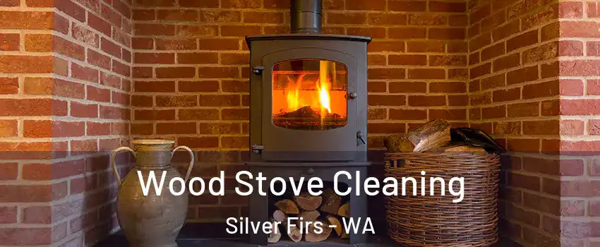  Wood Stove Cleaning Silver Firs - WA