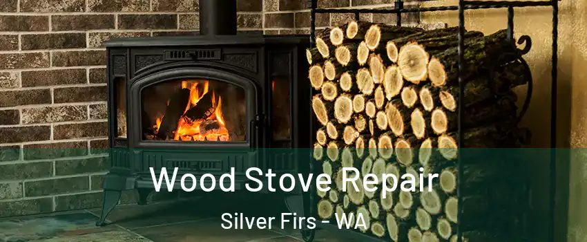  Wood Stove Repair Silver Firs - WA